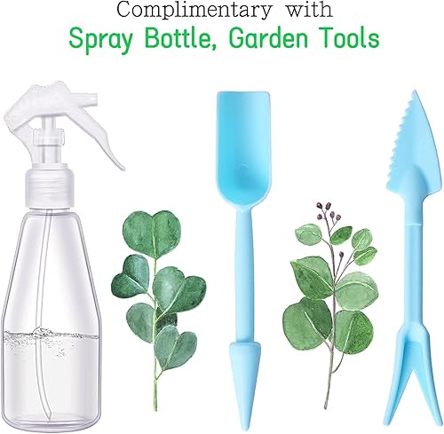 Miniatura 7 de REDHUGO Macetero de cristal hecho a mano, terrario, centro de mesa de suculentas, caja de mesa, decoración moderna, contenedor de plantas de regalo