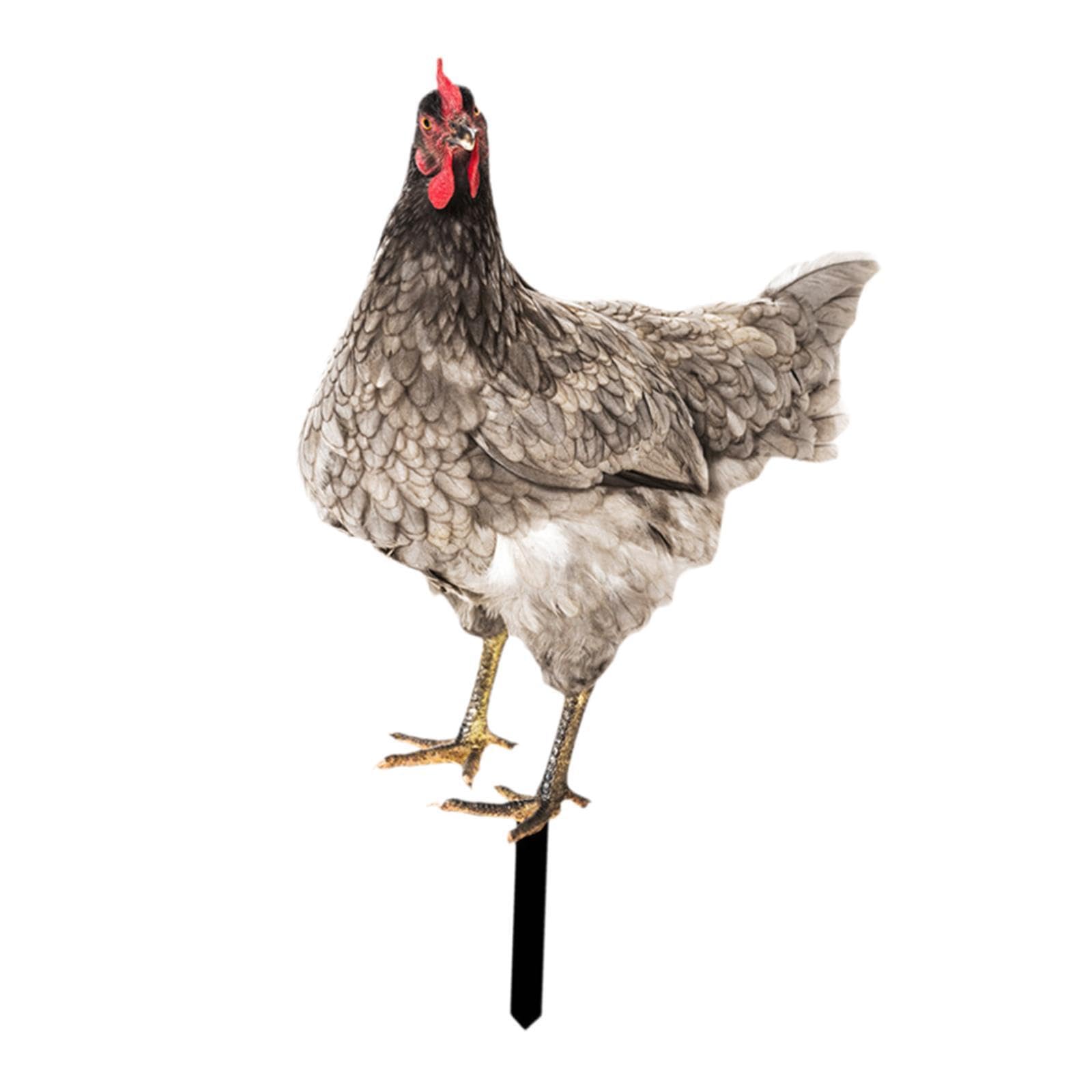 Quxvuis Chicken Garden Statue Stake Outside Outdoor Decor Inspires Smiles With Unique Rooster Yard Art Sculpture Presentation Acrylic Animal Stake Figurine, Style A