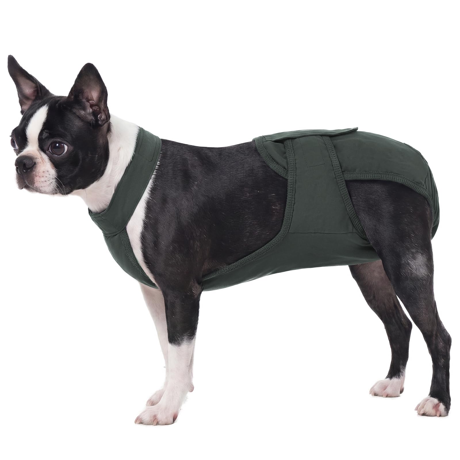 IECOii Dog Period Nappies,Reusable Washable Dog Pants,Leakproof Season Pants with Shoulder Straps,Anti-Slip Hook & Loop Nappies with Tail Hole & Mesh Lining,Dogs In Season,Incontinence,Post-Surgery,L