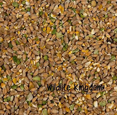 Wildlife Kingdom, cibo per pollame, polli