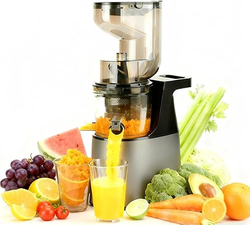 Exprimidor de prensa en frío,Máquina extractora de jugo de canal de alimentación de 6.3 pulgadas de ancho, 300 W de motor de cobre exprimidor lento