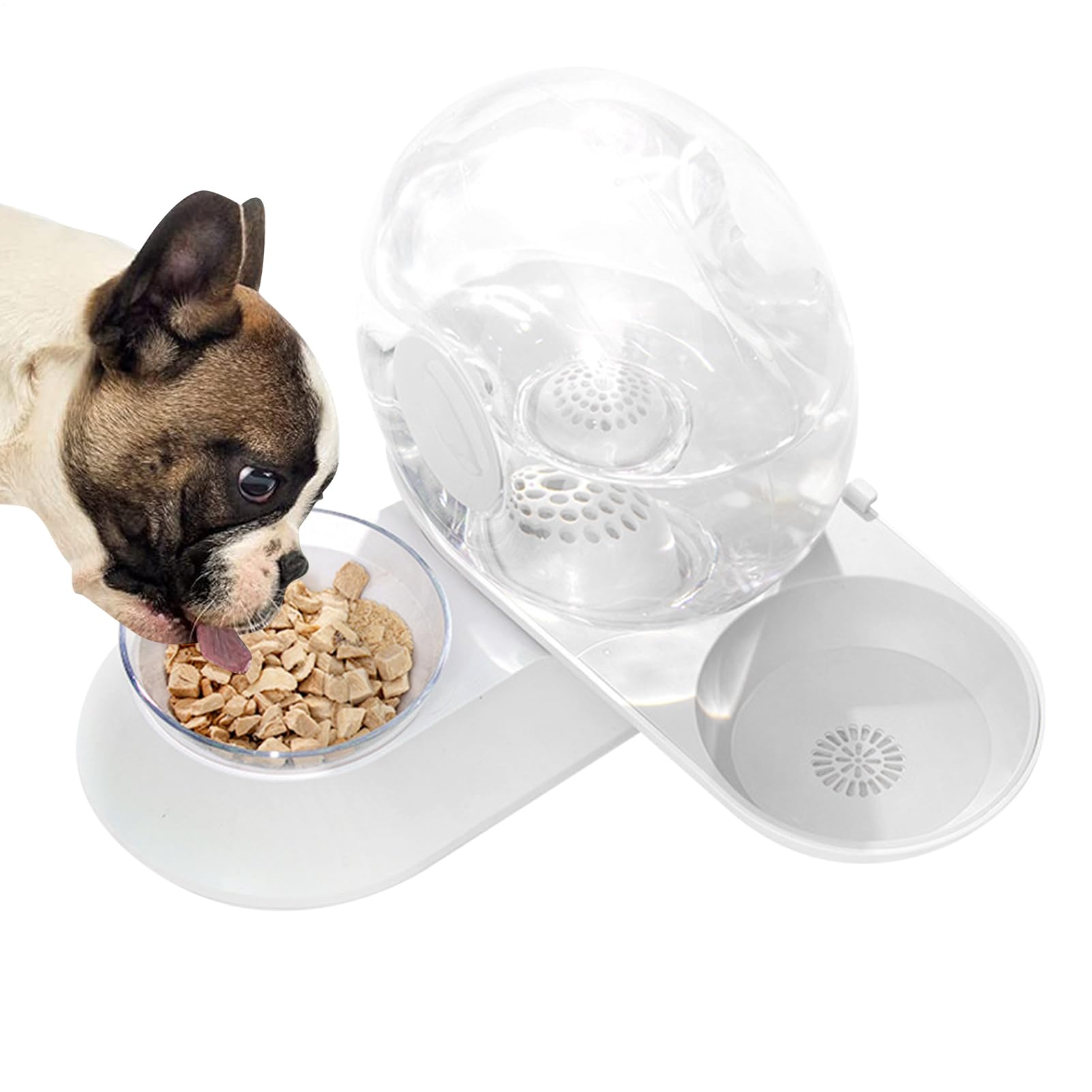 Bebedero para Perros Recipiente Alimenticio Antiderrames por Sifón para | Dispensador Automático De Agua Para Gatos para Cachorros Conejos y Mascotas
