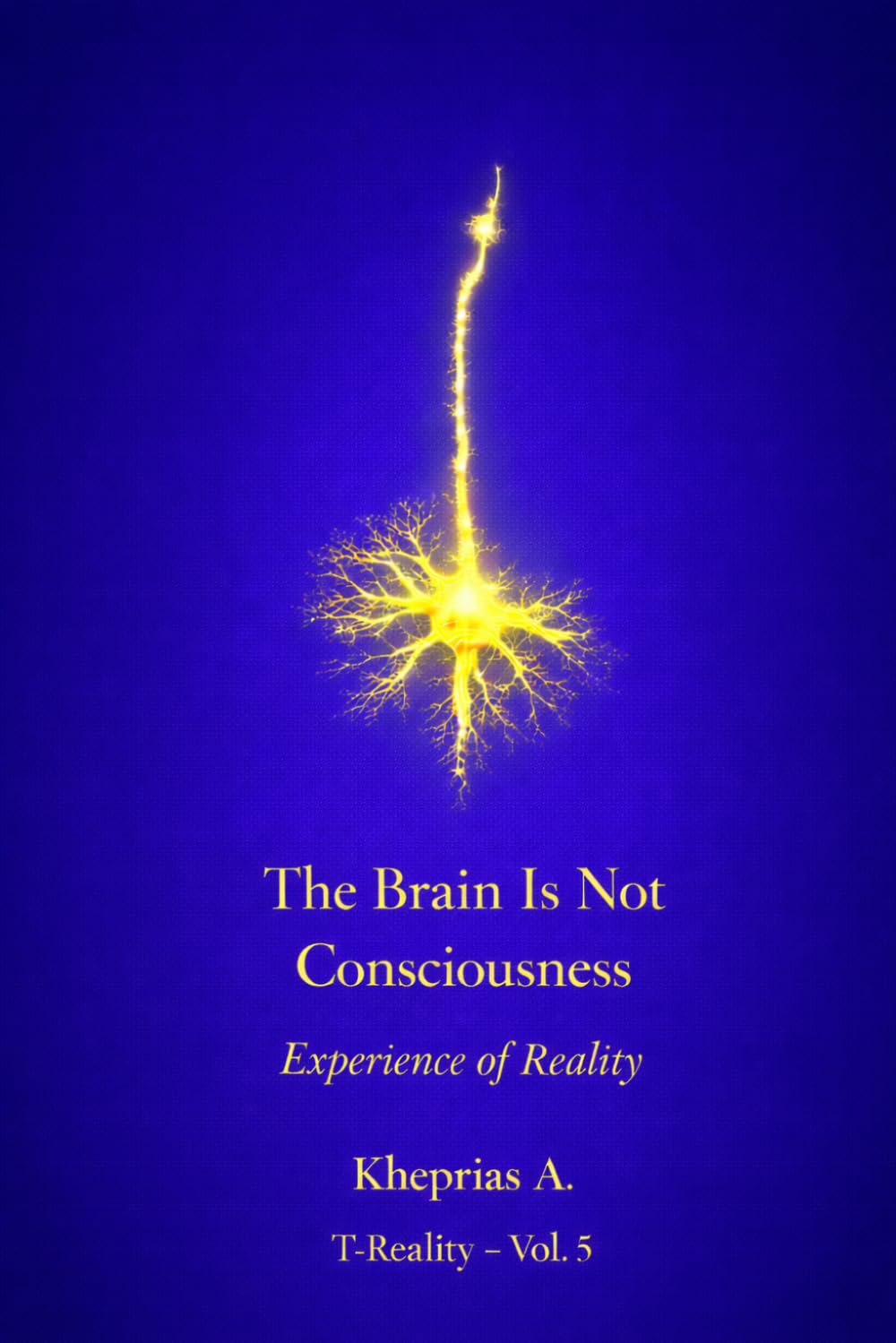 Why the Brain Does Not Produce Consciousness: Scientific Explanation and the Ontological Status of Experience (Series: T-Reality – Philosophy of Mind and Neurophilosophy)