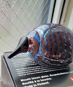  bird イッタラバード little kiwi キウィ Amazon.co.jp: iittala Little kiwi イッタラ バード : ホーム