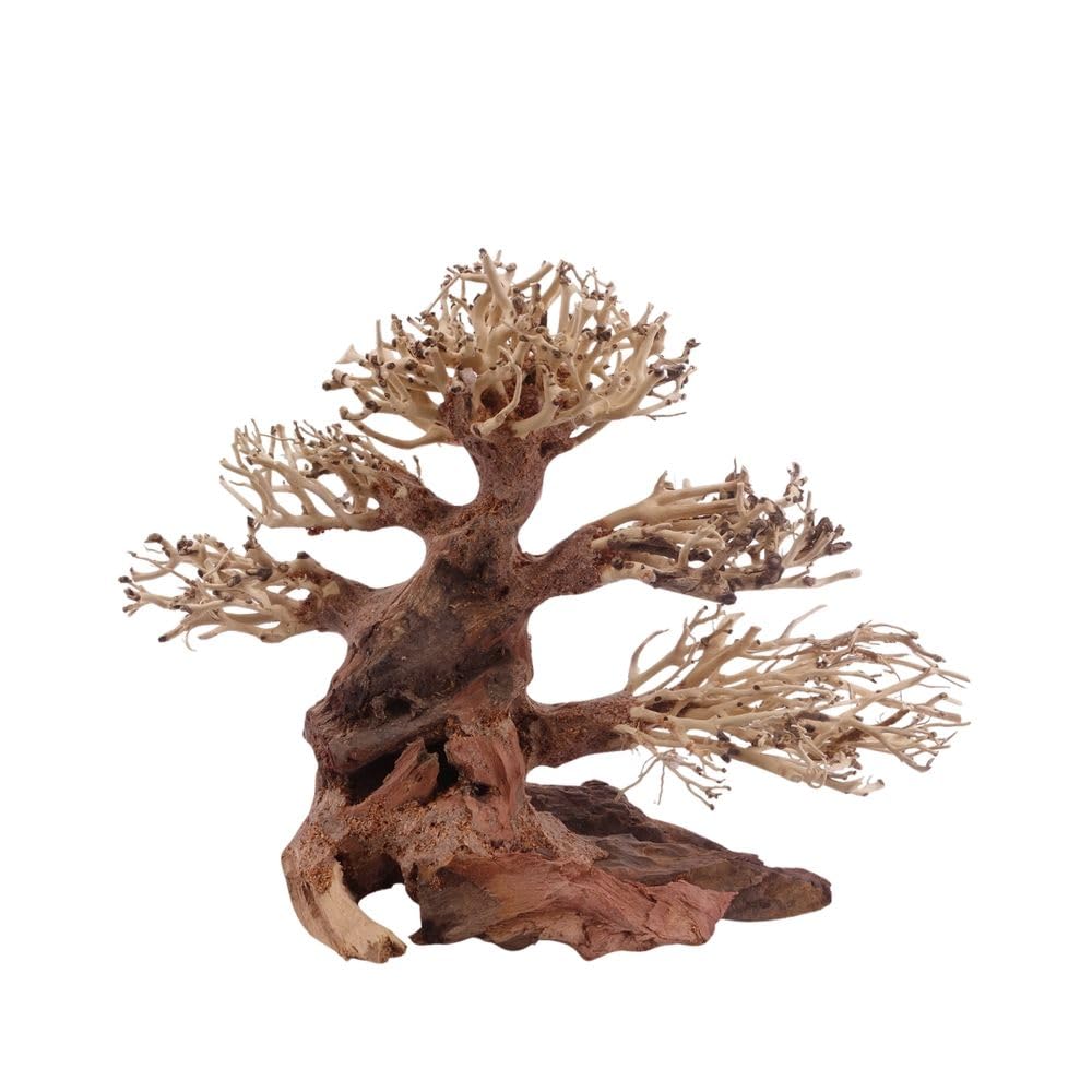 AquaOne Aquarium Classic Bonsai Baum M I Wurzel Oriental Holz 23x10x17 cm I Aquascaping Dekoration I Natur Unikat Bonsaibaum I Landschaft Deko Unterwasserlandschaft