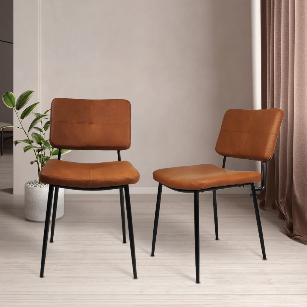 PRIVATE GARDEN Dining Chair Set of 2, Vintage Morden Style Dining Chairs Upholstered Dining Chair fo