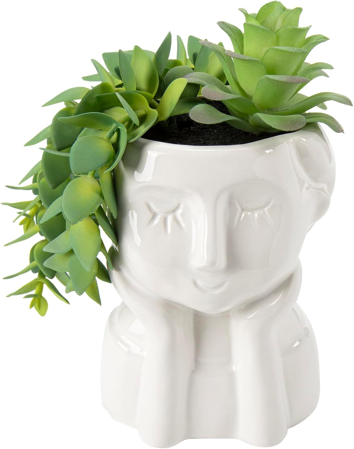 Fake Succulents Plants Artificial Succulents in Ceramic Pots Fake Potted Plants Faux Plants Indoor Fake Plants for Office, Desk, Shelf, Succulent Decor