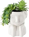 Oairse Artificial Succulents in Ceramic Pots, Realistic Faux Plants, Indoor, White and Green, 1 Inch