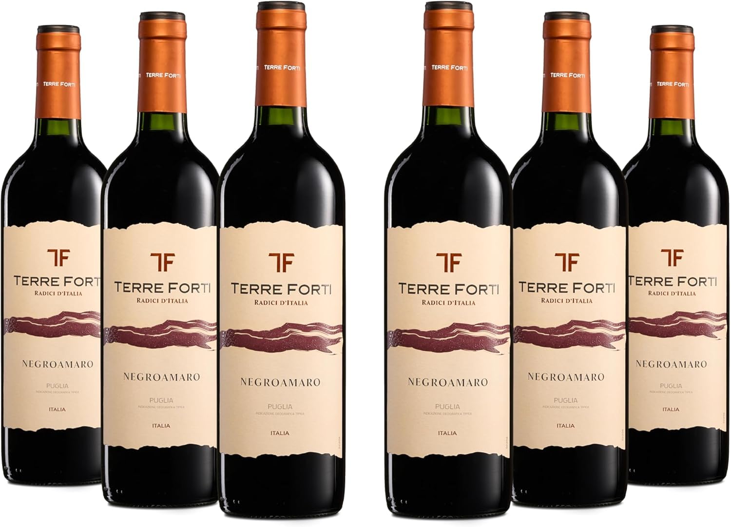 Terre Forti Negroamaro Puglia IGT, Italienischer Rotwein mit Rundem und Vollem Geschmack mit Noten Schwarzer Früchte, 12,5% Vol., Karton mit 6 Flaschen mit jeweils 750 ml