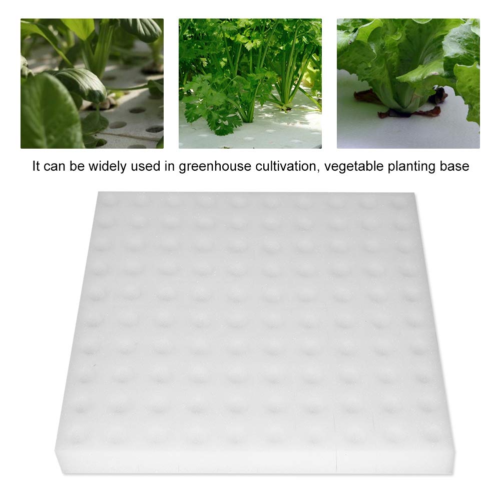 Gąbka Hydroponiczna, Biuzi 100pcs Narzędzie Do Plantacji Gąbki Hydroponicznej Kwadratowe Urządzenie Do Uprawy Bezgruntowej, Stosowane Do Małych Roślin Wzrostu Pąków Lub Nasion