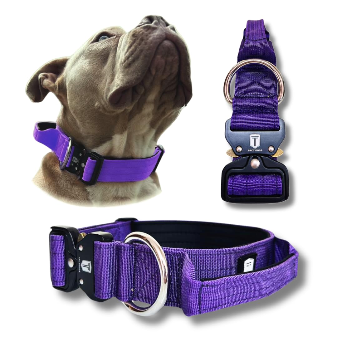 TACTIDOGS - Collar Táctico para Perro Mediano y Grande - Acolchado con asa, Hebilla de Liberación Rápida y Ancho Antiahogamiento - Collar de Entrenamiento para Todo Tipo de Perros - Morado M