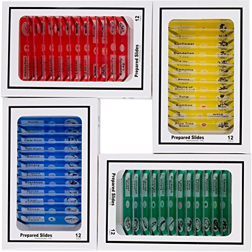 48pcs Kids Plastic Prepared Microscope Slides of Animals Insects Plants Flowers Sample Specimens for Stereo Microscopes Children's Day X'Mas Gift [Abbott]