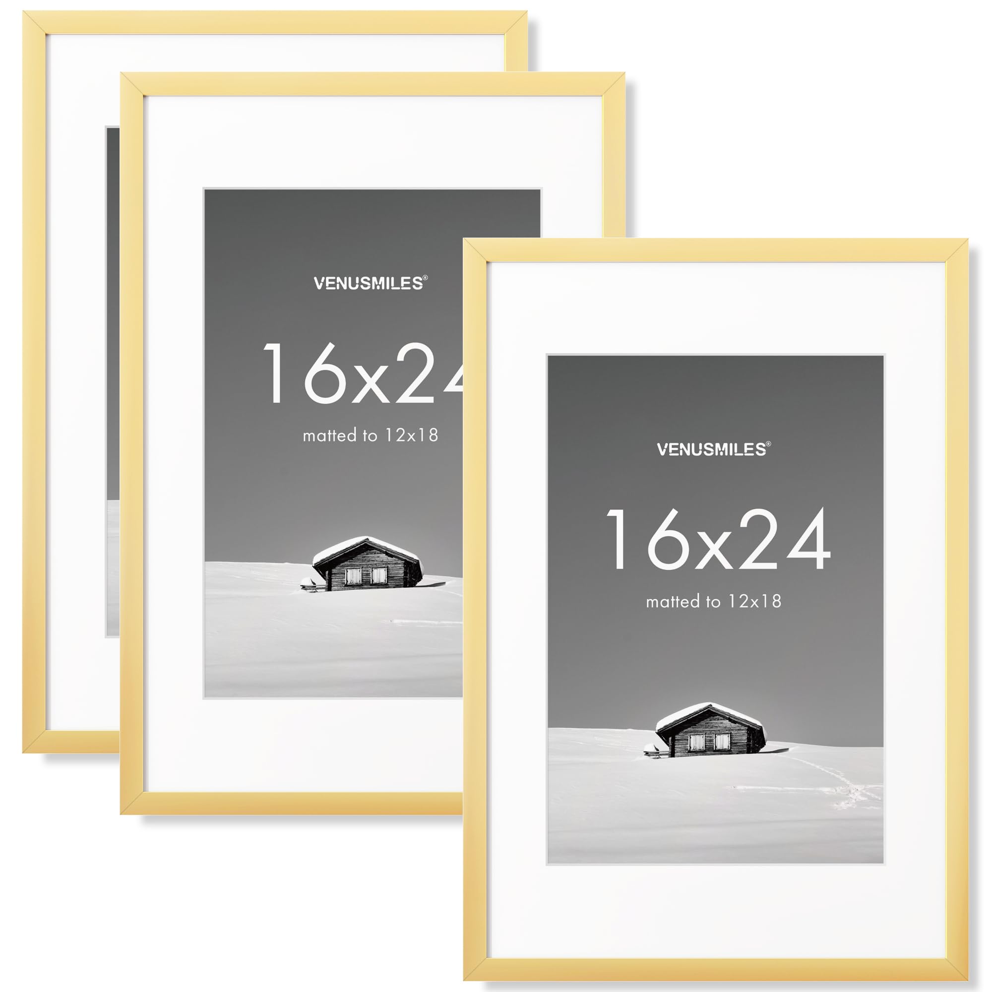 Venusmiles Gold 16x24 Picture Frame Set of 3