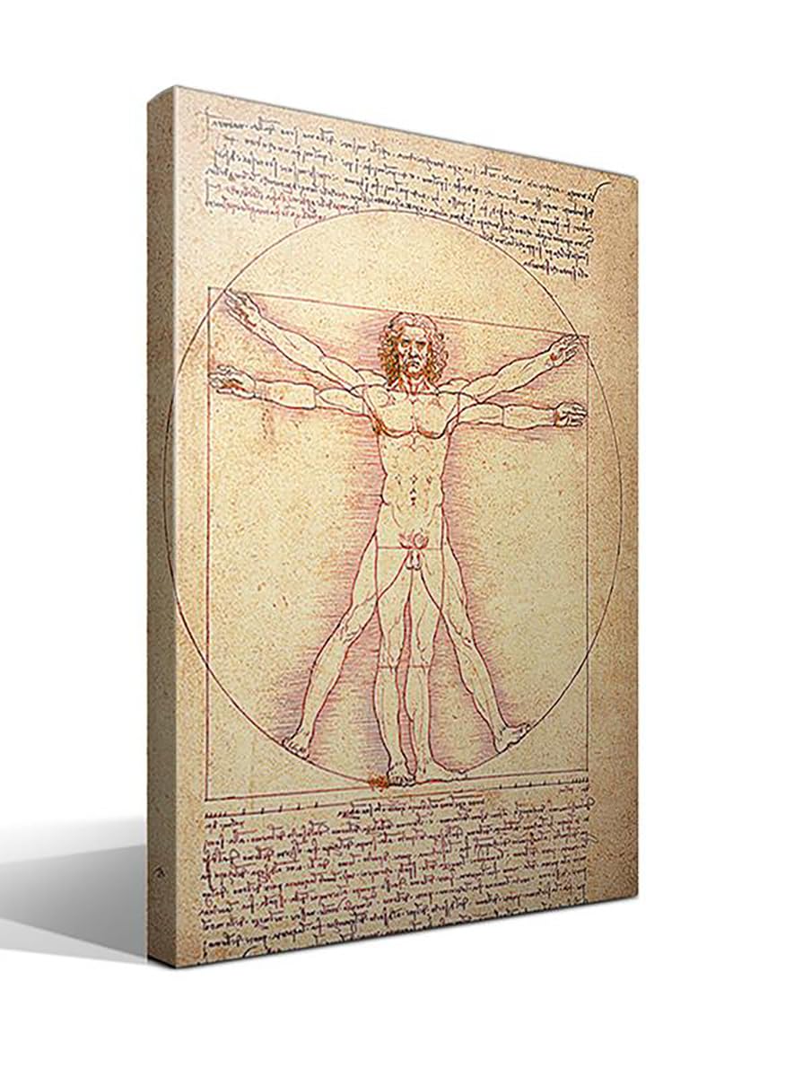 El Hombre de Vitruvio | Leonardo Da Vinci | Renacimiento | Cuadro Canvas Wall Art | Impresion Giclee lienzo algodon puro | Bastidor 3cm | 55x75cm
