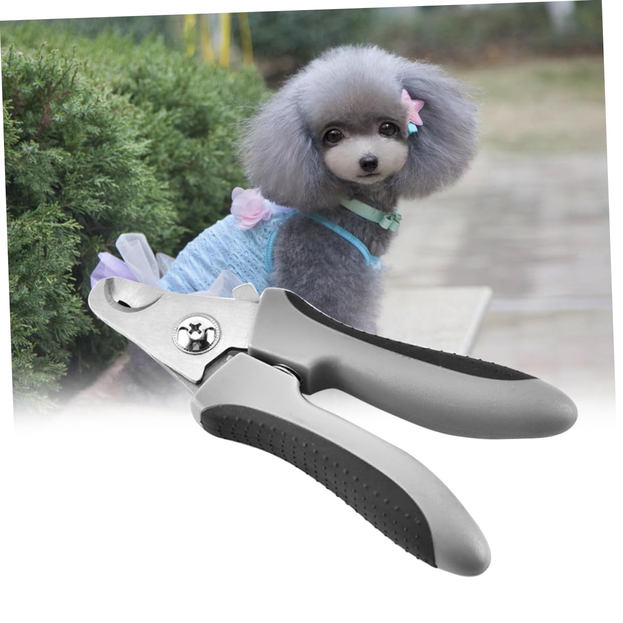 Sosoport 2pezzi per Unghie per Domestici Cesoie per Inossidabile Design Colore Casuale per Toelettatura e