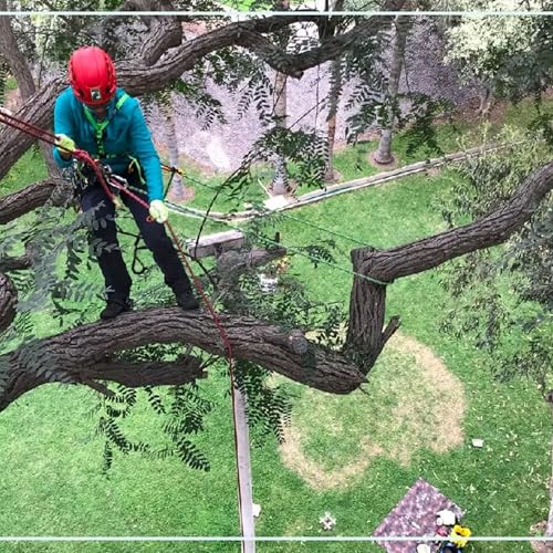 Arboricultura cover art