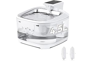 Petoneer Stainless Steel Cat Water Fountain: A Safe Haven for Your Feline's Hydration