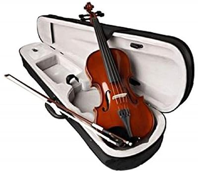 Salablez Indian Maple Wood Handmade Violin 4/4 Vivaldi Acoustic Violin Full Size with Bow, Rosin, Carrying Hard Case,Ins