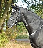 elegantes Vorderzeug aus bestem Leder