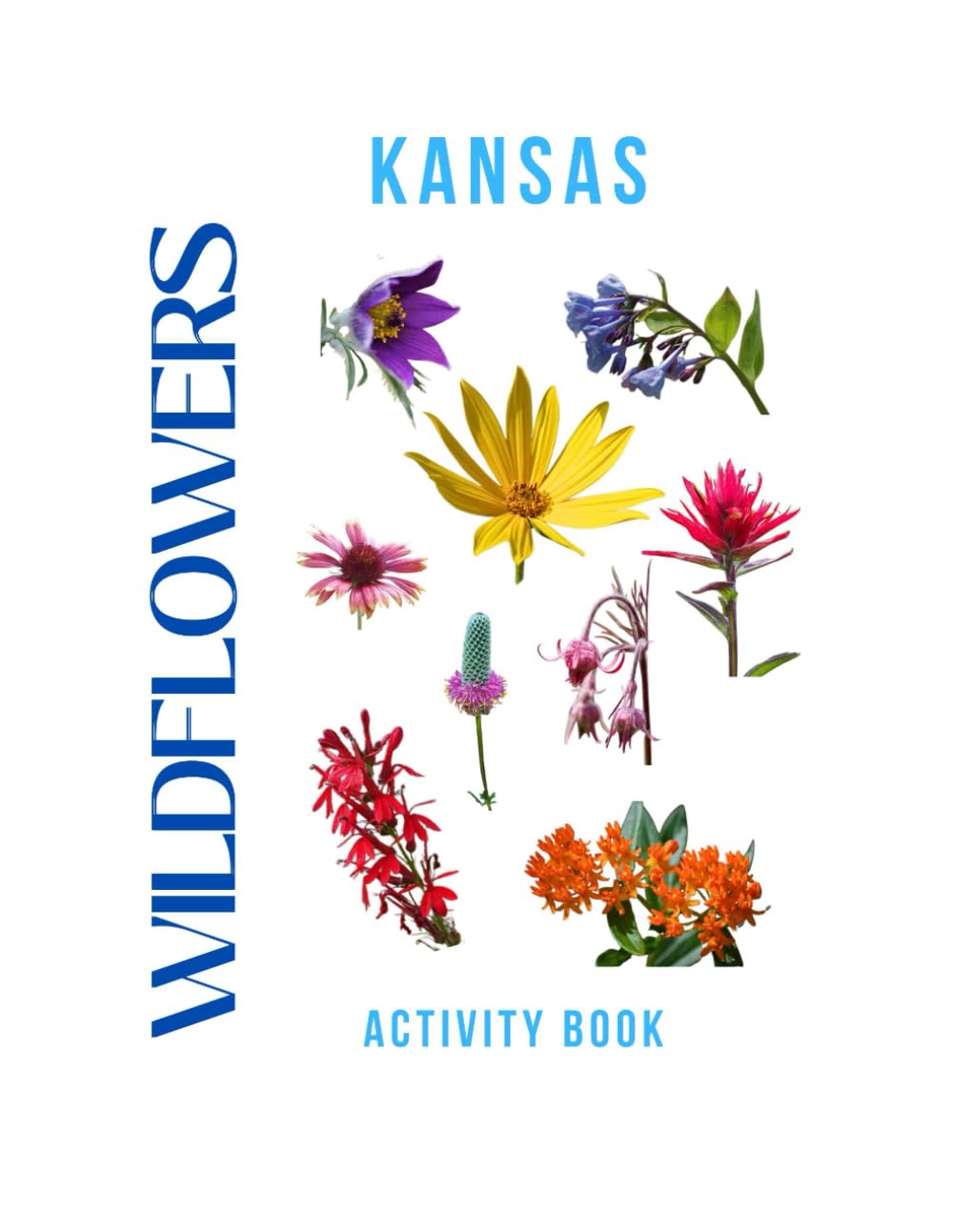 Wildflowers of Kansas Activity Book: A Young Explorer's Field Guide to the Native Blooms of Kansas (Kansas Nature Explorer Series)