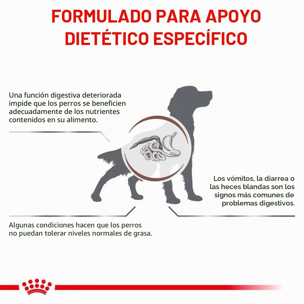 Royal Canin Veterinary Gastrointestinal Low Fat Mousse | 12 x 420 g | Pienso Completo para Perros Adultos | para el Apoyo digestivo y la obesidad.