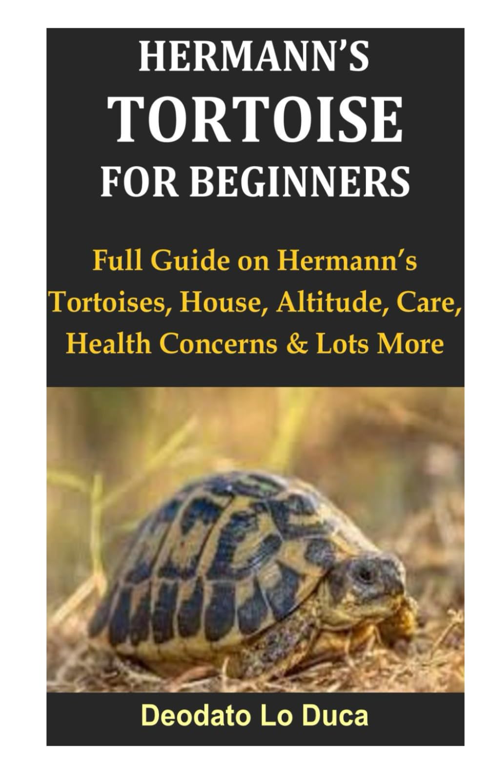 Hermann’s Tortoise for Beginners: Full Guide on Hermann’s Tortoises, House, Altitude, Care, Health Concerns & Lots More