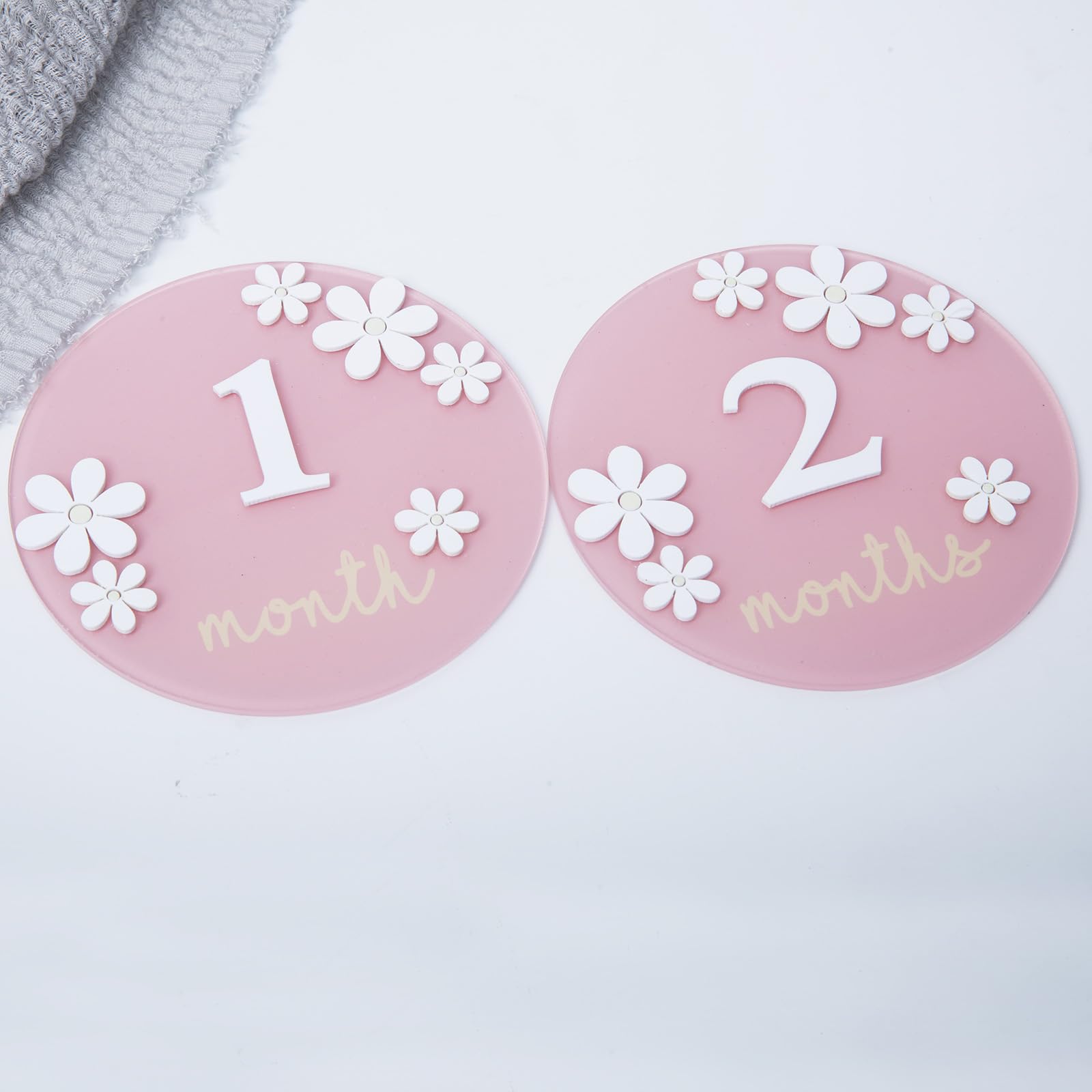 Acrylic Daisy Baby Milestone Cards, 3D Baby Milestone Signs, 1-12 Months Interchangeable Monthly Milestone Sign, Baby Announcement Sign, Baby Photo Prop