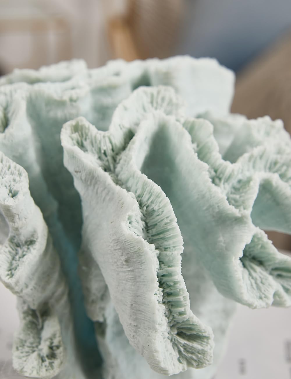 HAUCOZE Coral Decor Ocean Sculpture Statue Modern Home Art Table Centerpiece Gift for Living Room Bookshelf Polyresin 7.5 Inch