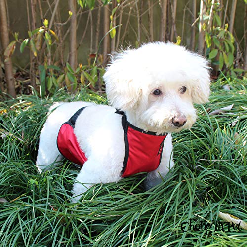 Dog Harness, Chest and Belly Protector Pet Vest Clothes Breathable Waterproof for Dogs Cats Corgi (XS, Red) - Image 4
