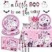 142pcs A Little Boo is On The Way Tableware Decorations Little Boo Pastel Pink Halloween Baby Shower Supplies Disposable Plates,Tablecloth,Napkins,Cups,Forks and Knives for Girl