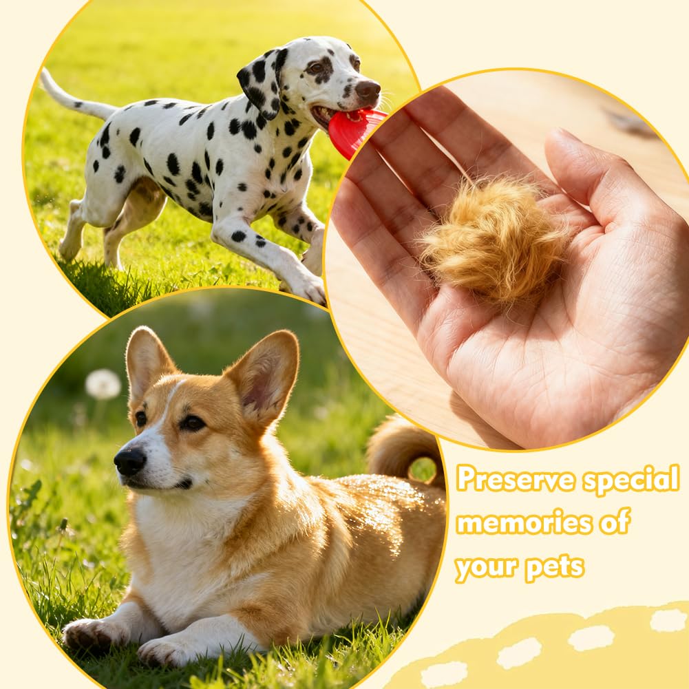 10 Pezzi Portachiavi Ricordo Peli di Cane - Figurina 3D Cane Trasparente, Capsula Conservazione Peli Animale, Regalo Creativo per Amatori di Cani Gatti, Ricordo Perdita Animale Domestico