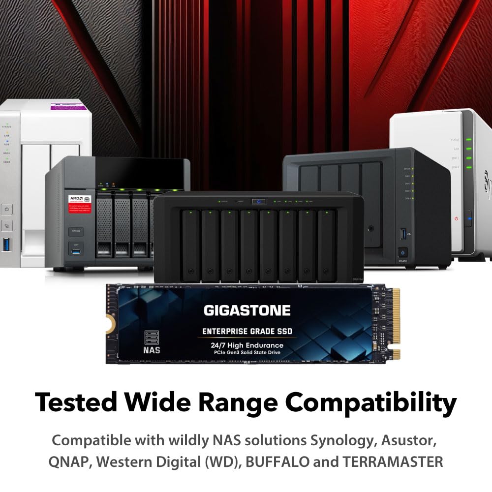Amazon.com: Gigastone SSD 2TB M.2 NAS SSD 24/7 High Endurance