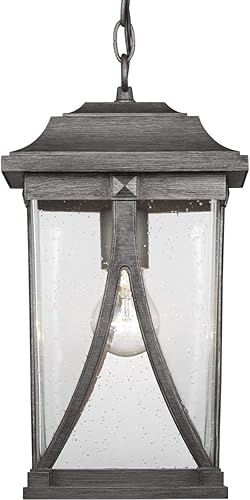 Progress Lighting Abbott Collection - Linterna colgante de cristal transparente con semillas para exteriores, 1 luz, color peltre antiguo