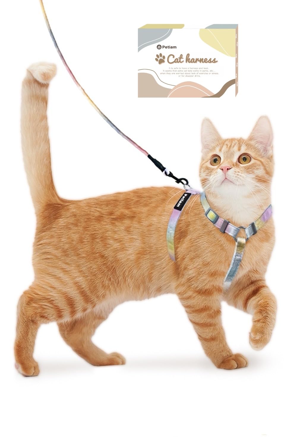 犬猫　リード　２点　新品 Amazon | (シリーズ累計2万個突破) Petiam 猫 ハーネス リード 猫用