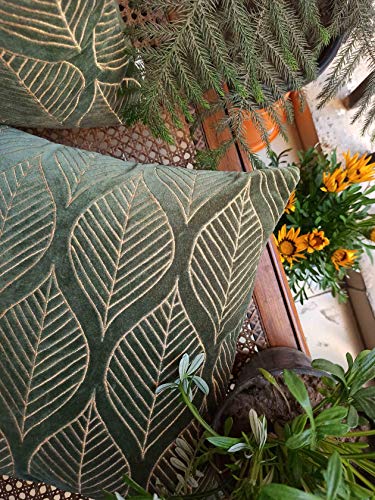 Image of Cotton Velvet with Leaf /Tribal ZARI Embroidered Stitched Zippered Cushion Cover (SAGE /Olive Green) | 16x16 Inches | Set of 2|