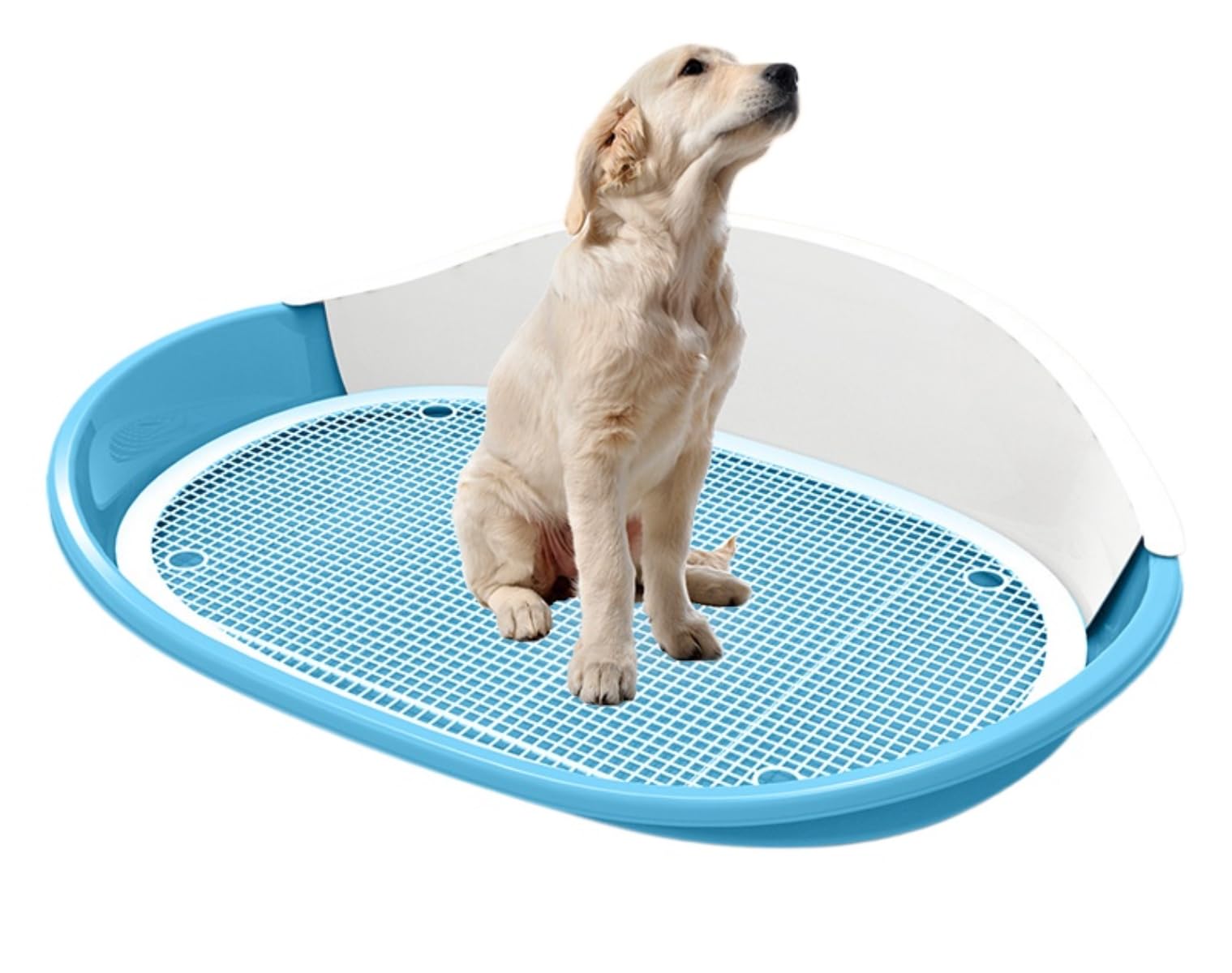 Amazon | Zehaiwl 犬用トイレー ペットトイレレイー 57*42CM Amazon | Zehaiwl 犬用トイレー ペットトイレレイー 57*42CM