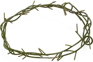 Crown of Thorns: The Ultimate Party Essential for Those Seeking Divine Inspiration