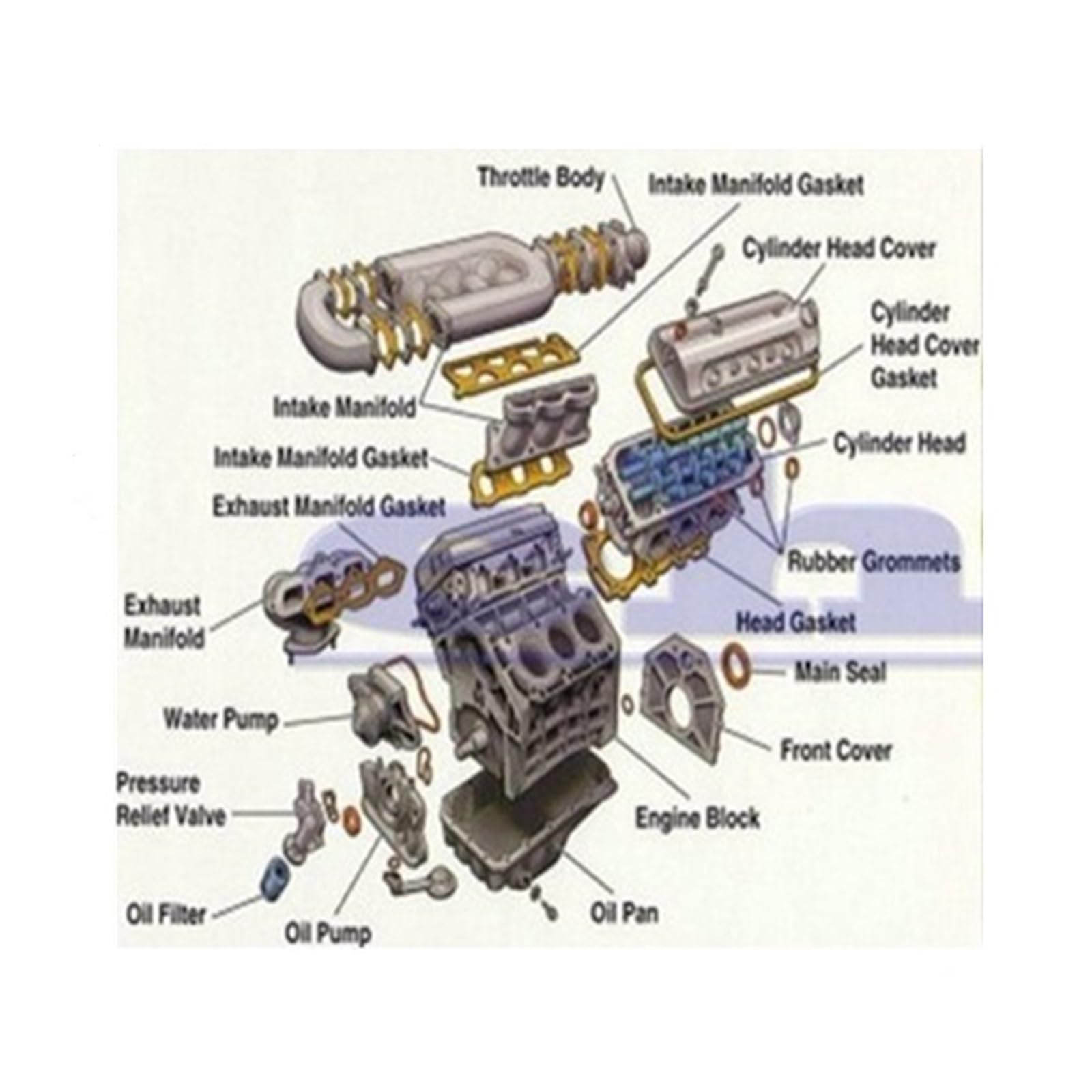 WEIJIIAUS Engine Cylinder Head Gasket Compatible with Mercedes-Benz Sprinter 2500 3500 R350 GL350 ML350 3.0L V6 6420165120 6420165220 2009-2017