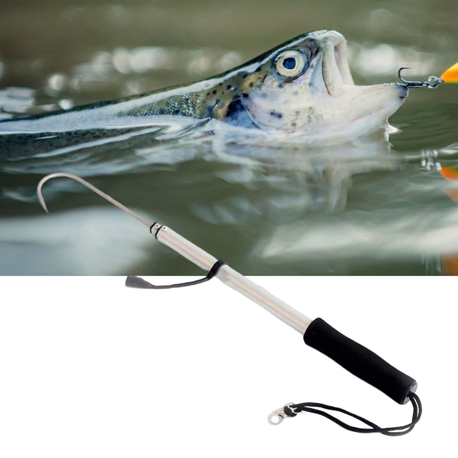 Angeln Gaff Fisch Gaff Haken Langlebiges Edelstahl Teleskop Bootsangeln mit Weichem Eva Griff