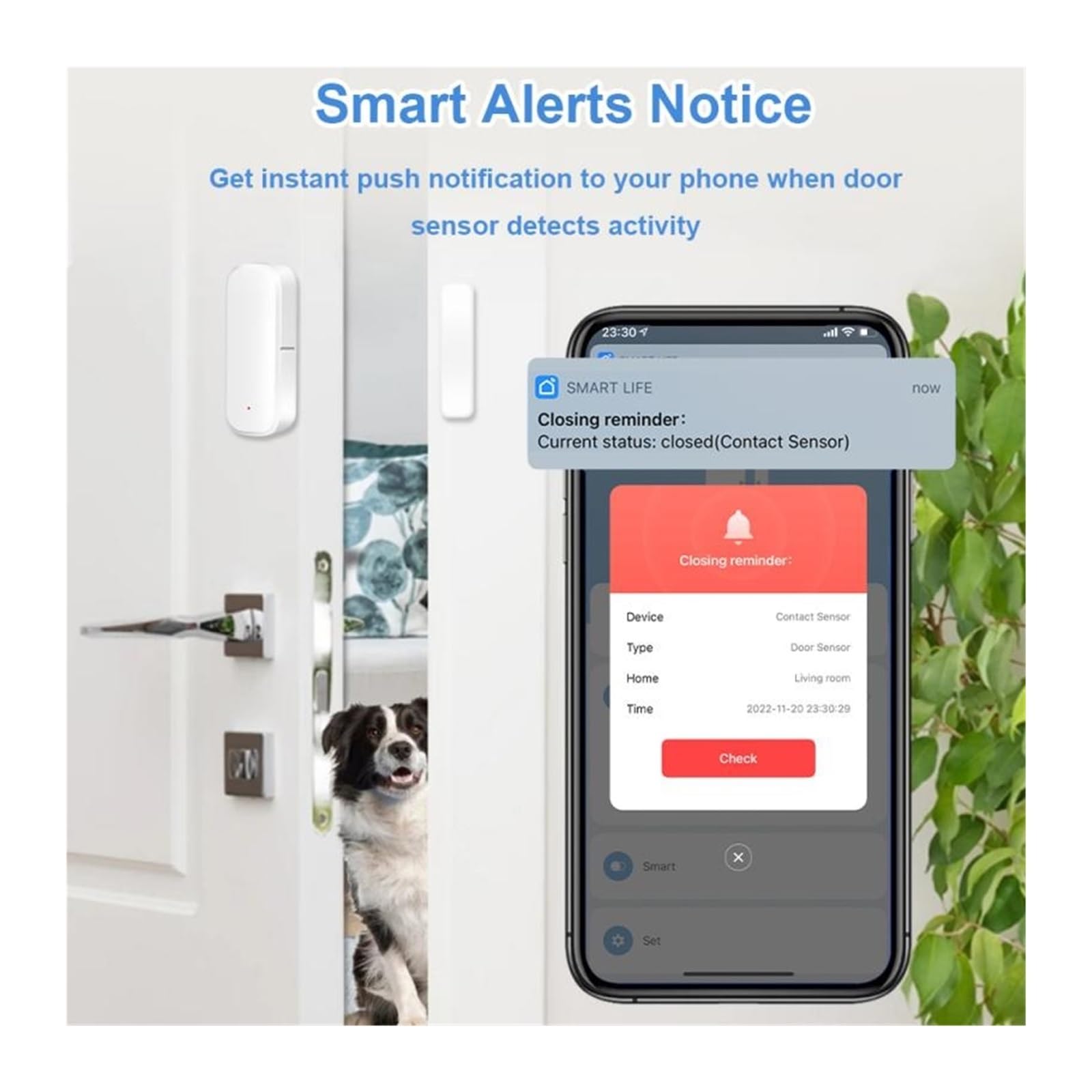 Sensor de puerta inteligente Tuya ZigBee, detectores de puerta abierta y cerrada, protección de seguridad inteligente for el hogar, Control de vida inteligente a través de Alexa Home(8pcs)