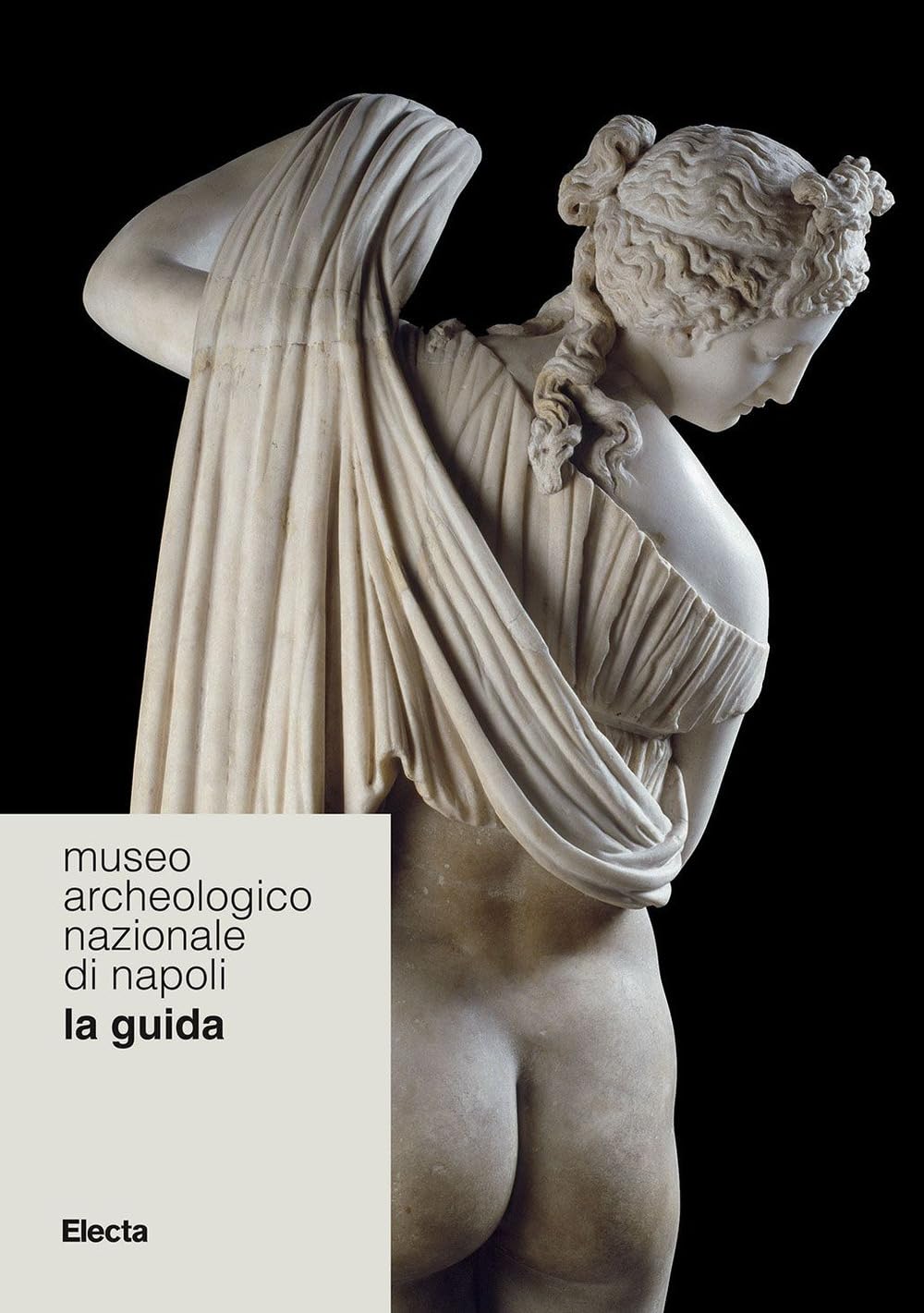 Museo Archeologico Nazionale Di Napoli. La Guida - 4