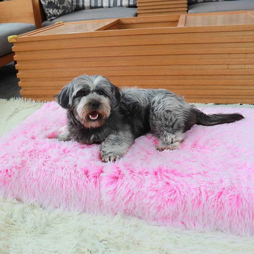 Cama para Perro, colchón ortopédico Grande de Felpa Suave para Mascotas, sofá de Espuma viscoelástica con Funda Lavable extraíble, cojín para Gatos Grandes y Perros