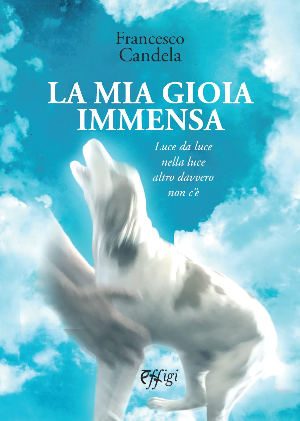 La Mia Gioia Immensa - 4