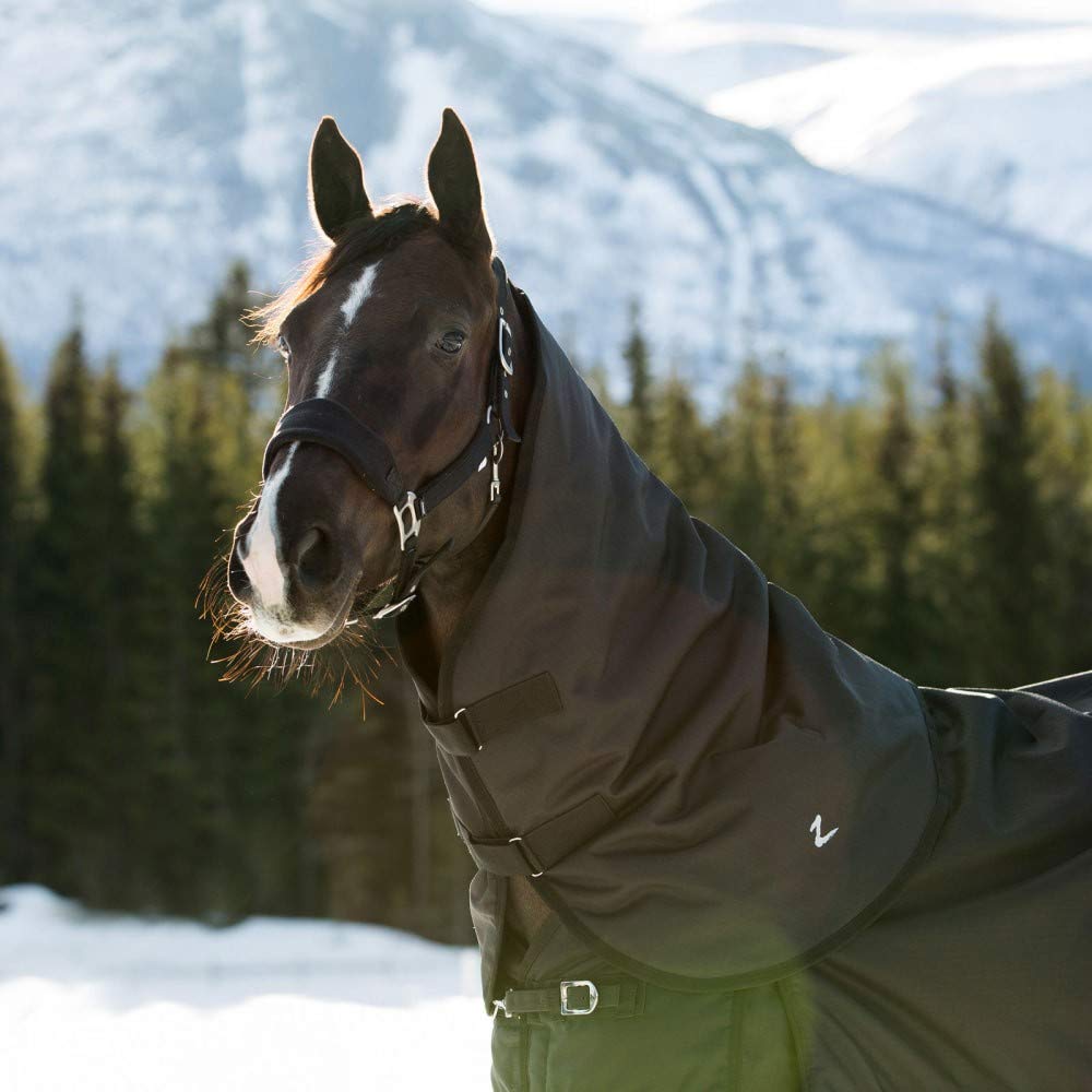 HORZE Manta para Caballos Nevada