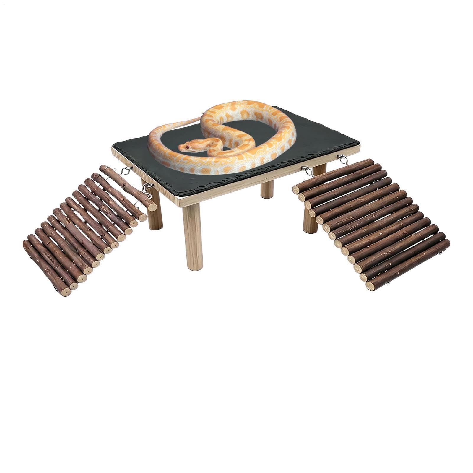 Plataforma Asoleo para Reptiles Rampa Decorativa en Madera de fácil