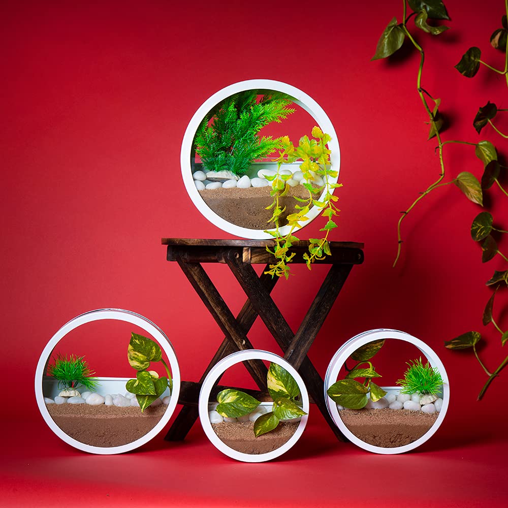 Urban Plant Metal Round Terrarium Florarium Wall Hanging Planter Vase, Air Plant Holder (Blue, Standard, Set of 4) (B09BJWZFSL) Amazon Price History, Amazon Price Tracker