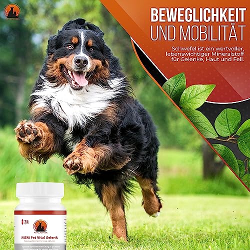 Vitalpfoten 75 MSM Pet Vital Gelenk Kapseln für Hunde und Katzen, hochreines Methylsulfonylmethan für Knochen, Knorpel, Bindegewebe
