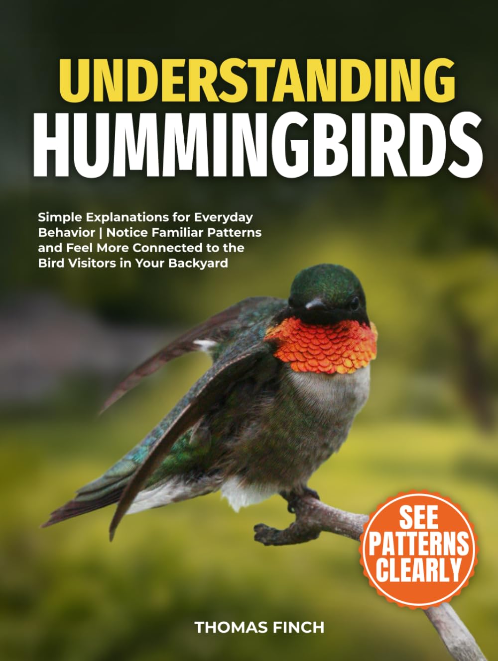Understanding Hummingbirds: Simple Explanations for Everyday Behavior | Notice Familiar Patterns and Feel More Connected to the Bird Visitors in Your Backyard