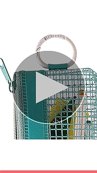 ひひ４ケース Amazon.co.jp: リヒトラブ ポーチ メッシュケース ファスナー