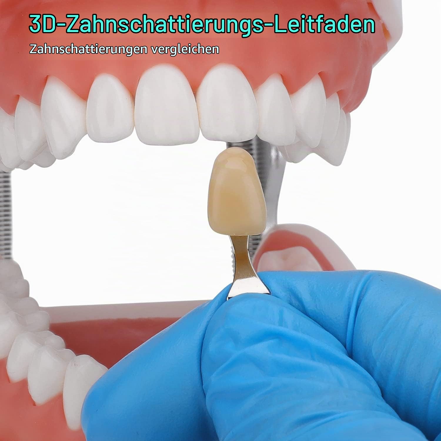 Farbkarten Zähne, 20 Farben Zahnfarbvergleicher, Dental Teeth Shade Guide, Zahnaufhellungsset, zum Vergleich der Zahnfarbe vor und nach der Zahnaufhellung